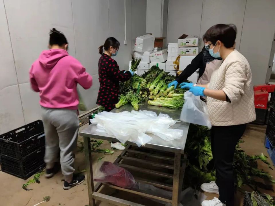 多宝电竞·(中国区)官方网站