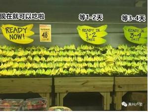 多宝电竞·(中国区)官方网站