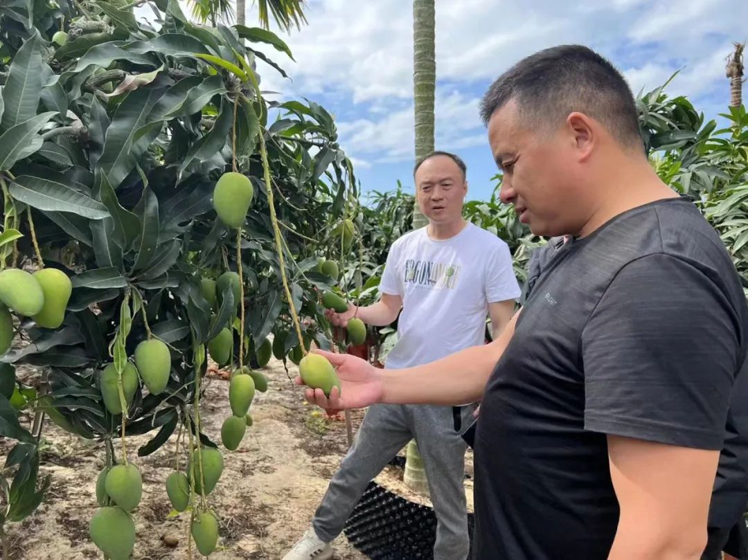 多宝电竞·(中国区)官方网站