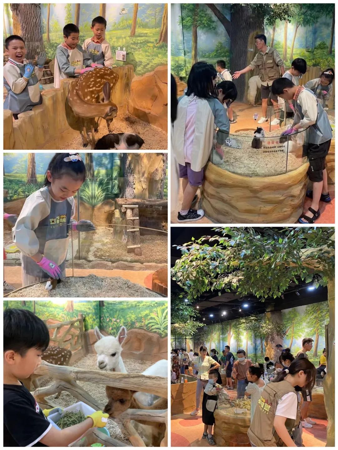 多宝电竞·(中国区)官方网站