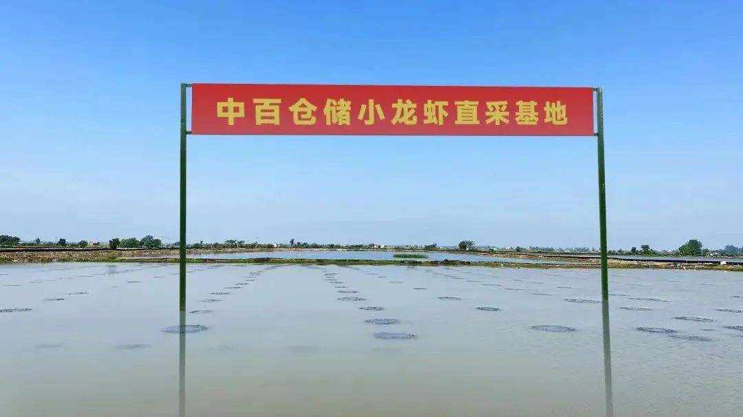 多宝电竞·(中国区)官方网站