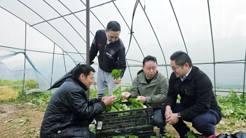 多宝电竞·(中国区)官方网站