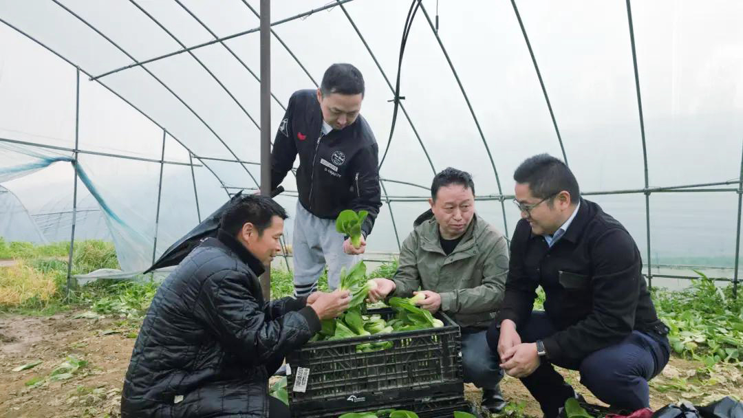 多宝电竞·(中国区)官方网站